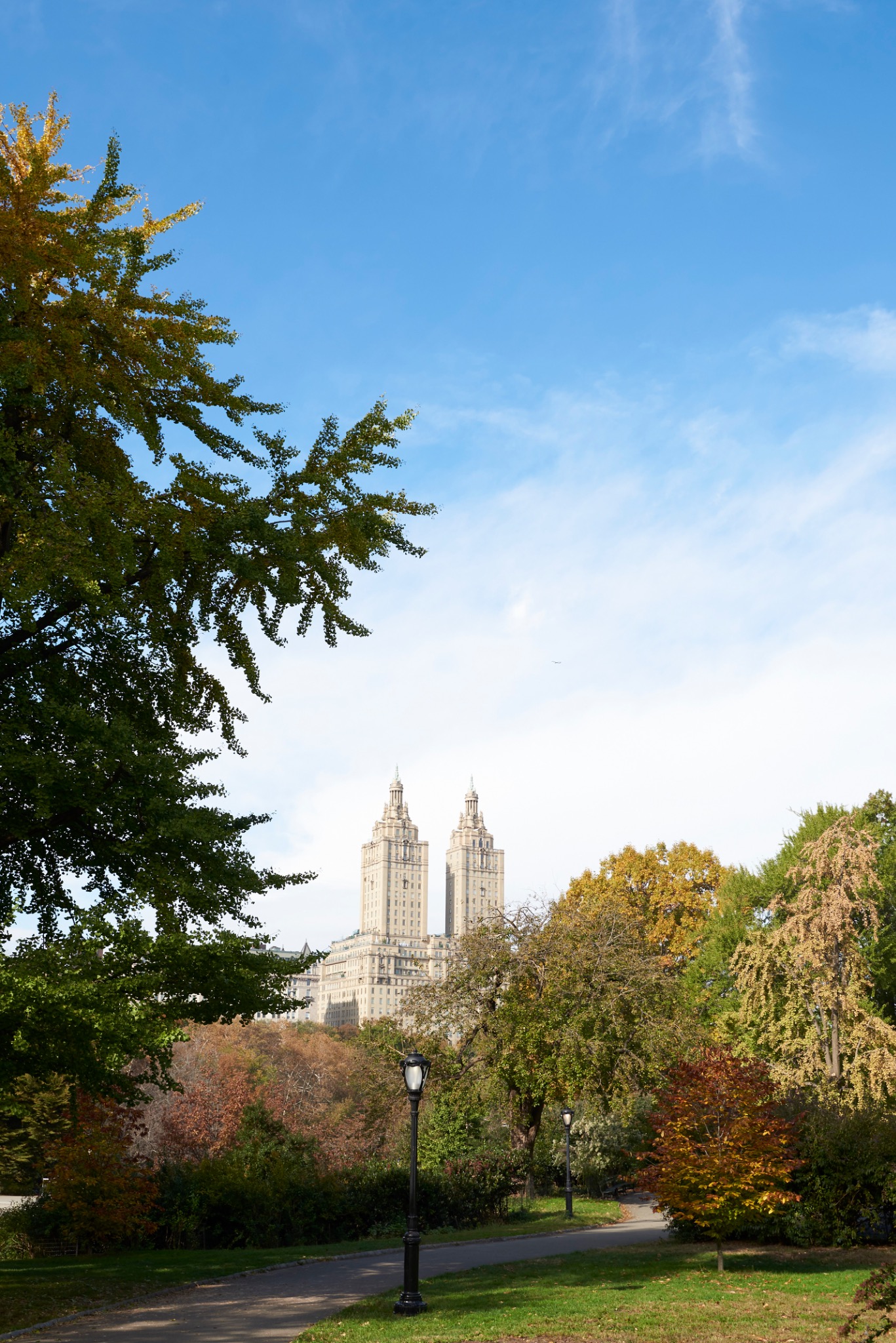 Central Park path with towers emerging beyond autumn trees